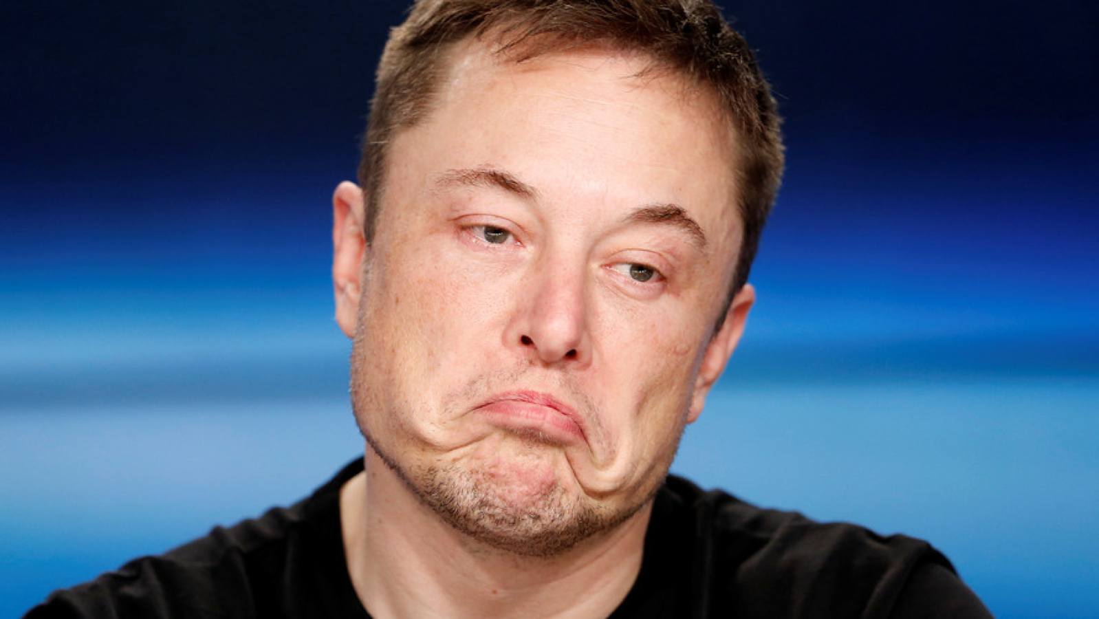 Elon Musk Sorry 